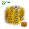 Cistanche Tubulosa Extract Echinacoside and Verbascoside